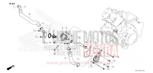 THERMOSTAT/WATER HOSE XL750P de 2023